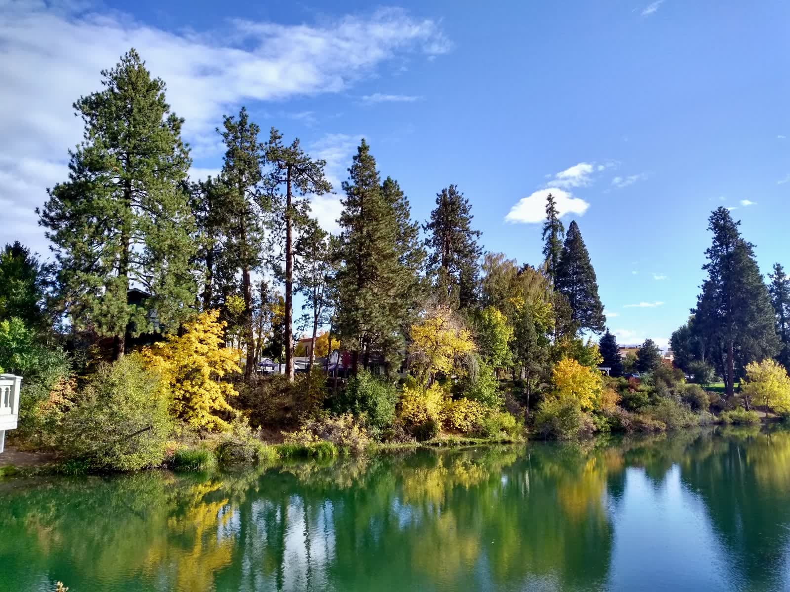 Tall ponderosa pines and autumn color reflected in Mirror Pond at Drake Park in Bend.