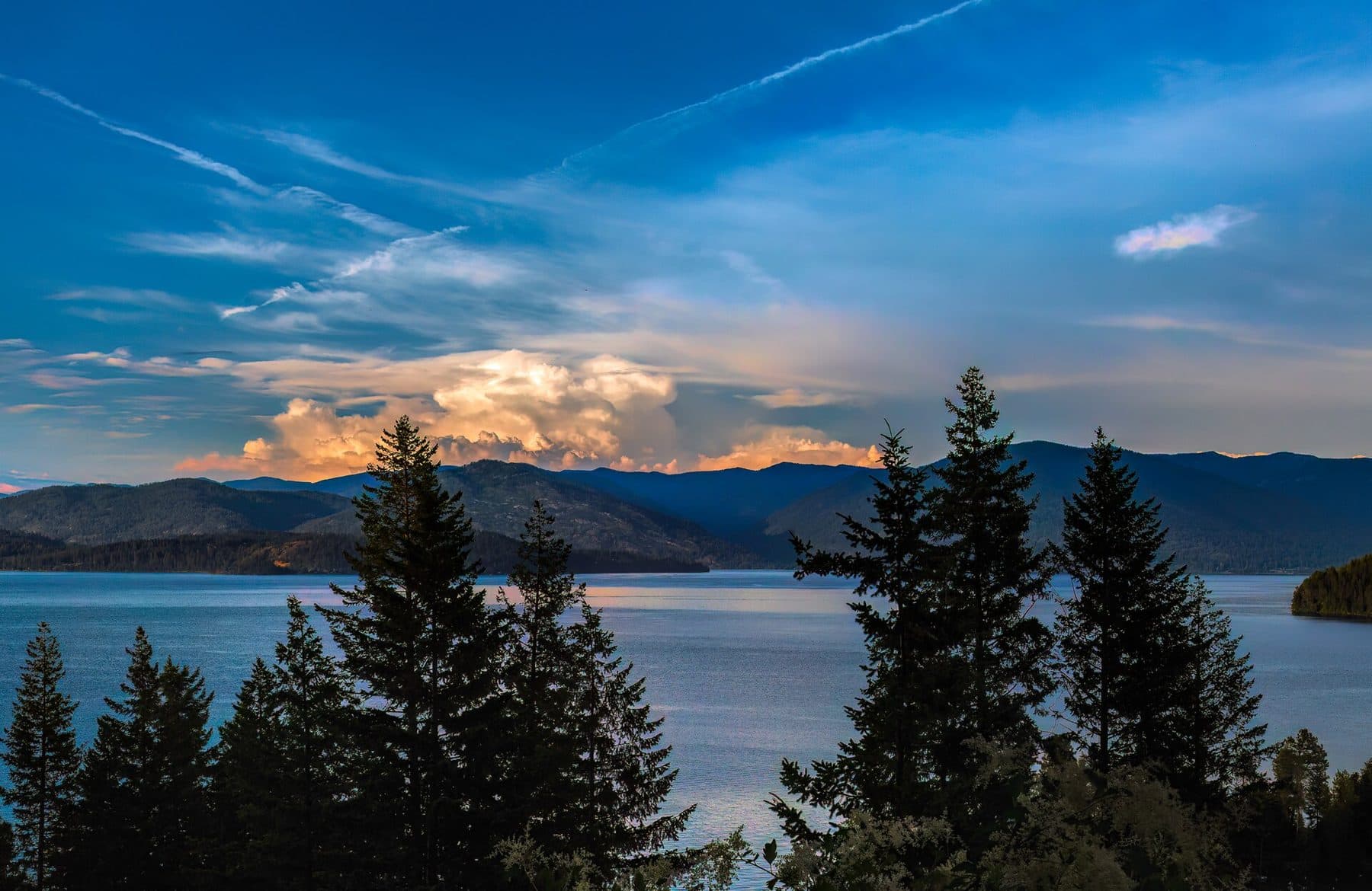 Evening light over Lake Pend Oreille and its forested mountains, seen through tall pines south of Sandpoint, Idaho.